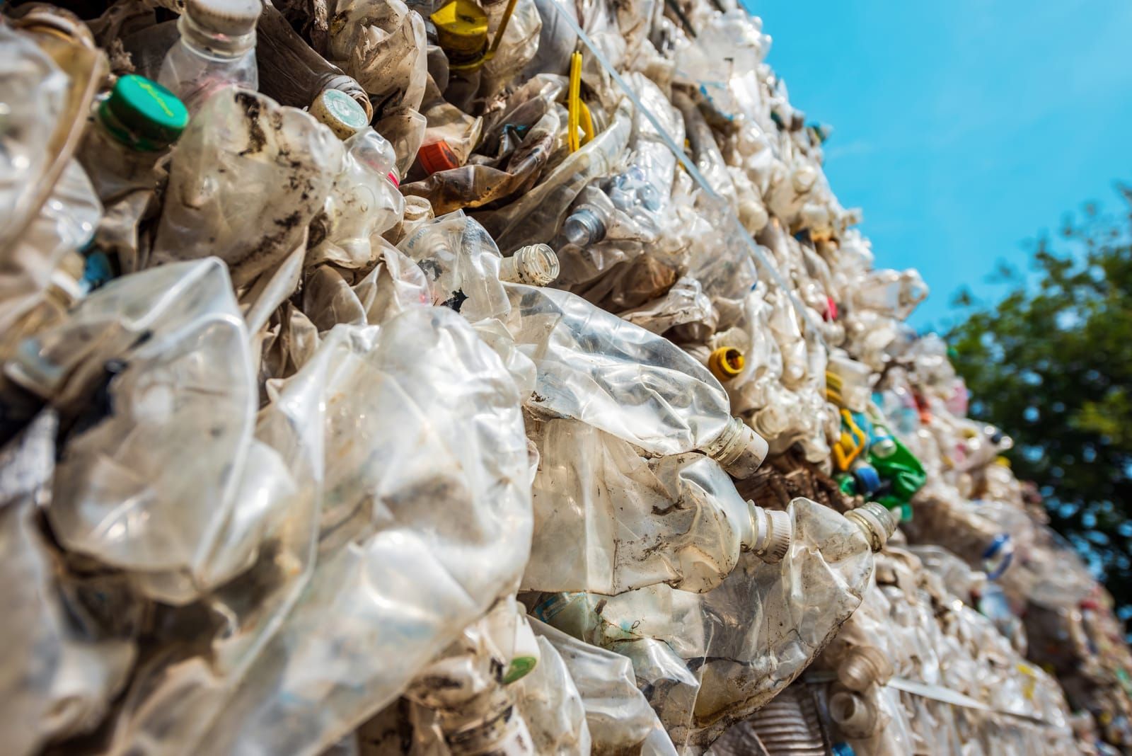 Bala de botellas de PET prensadas a la entrada de una planta de reciclaje